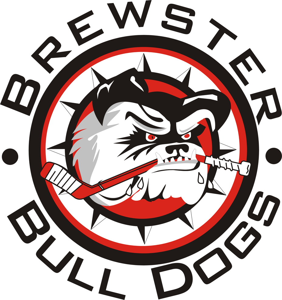 Brewster Bulldogs 2015-Pres Primary Logo iron on transfers for clothing